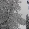Onnion 2006 359